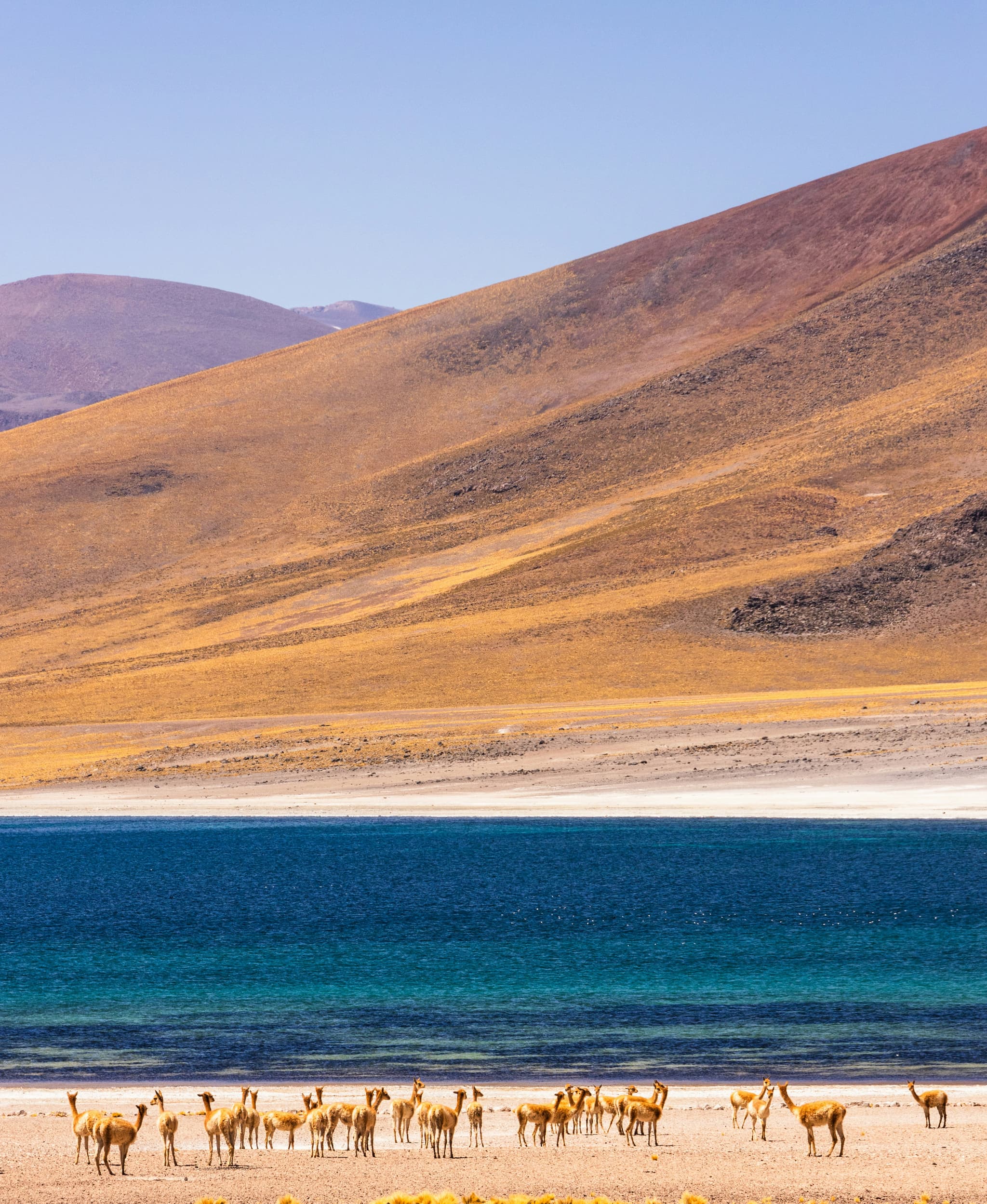 Stargazing in the Atacama: what to bring and where to park
