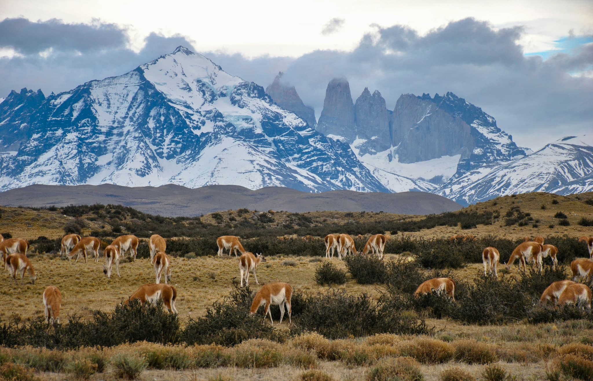 Driving the Carretera Austral: what to expect