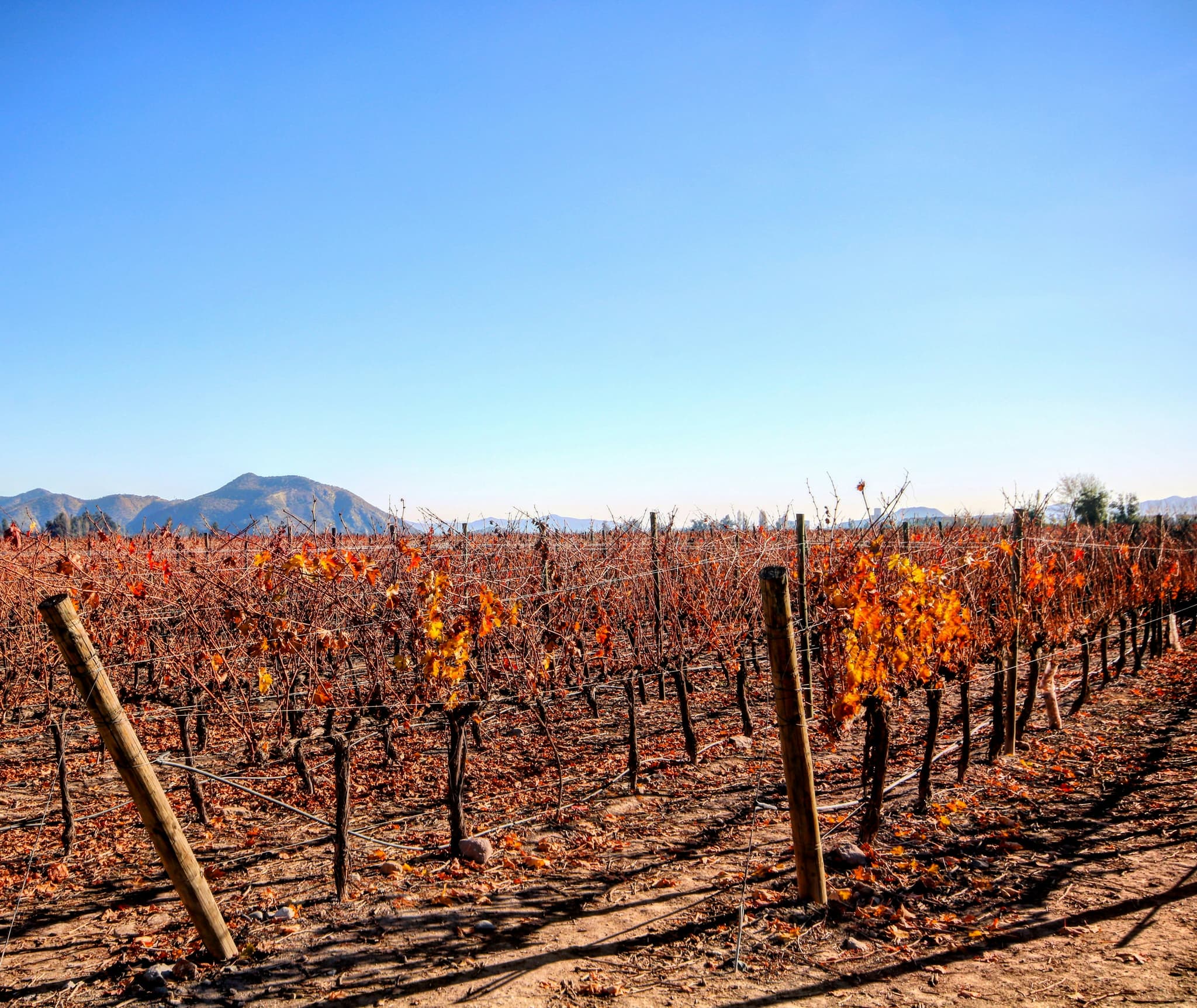Wine Valleys